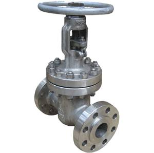 STAINLESS STEEL GATE VALVE OS&Y FLANGED CLASS 600 with HF Seats