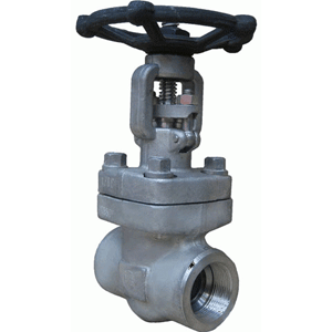 STAINLESS STEEL GATE VALVE CLASS 800 NPT with HF Seats