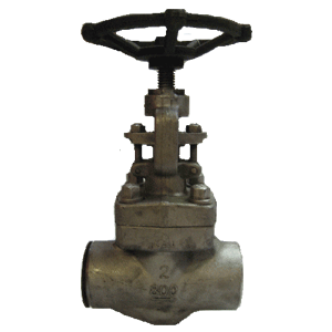 STAINLESS STEEL GLOBE VALVE CLASS 800 with HF Seats